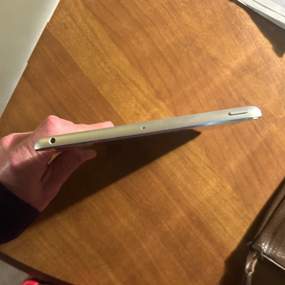Apple iPad Mini